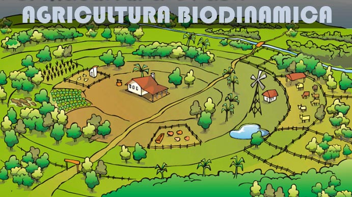 4 Verdi: La granja biodinámica de Alessandra