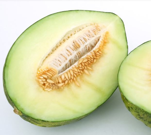 El melón: puntas y hoja de cultivo