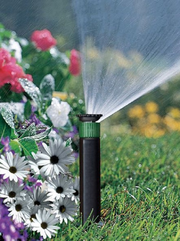 Irrigar el jardín: Cuándo hacerlo y cuánta agua necesita para