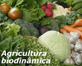 Jardín biodinámico: ¿qué es la agricultura biodinámica?
