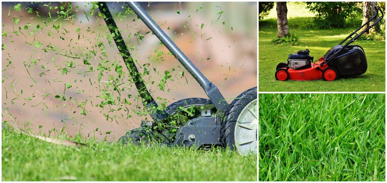 La Cortadora De Césped: Características Y Consejos Para Una Buena Elección