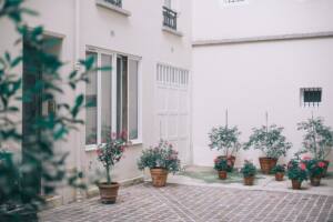 house decorated with potted flowers and plants