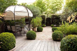 Arregle su jardín: estilo moderno
